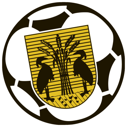 Logo van VV Reiger Boys